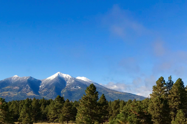 亚利桑那州弗拉格斯塔夫的旧金山山峰